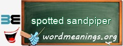 WordMeaning blackboard for spotted sandpiper